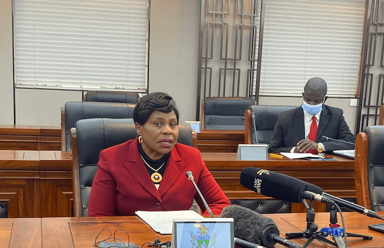 Monica Mutsvangwa, Zimbabwe’s Information minister