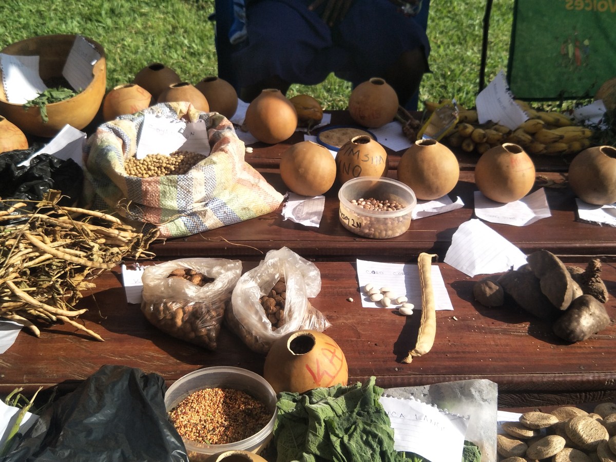 Over 200 Clan Leaders Trained in Land and Indigenous Seed Preservation in Apac&nbsp;District