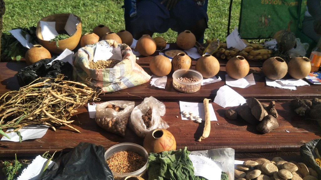 Over 200 Clan Leaders Trained in Land and Indigenous Seed Preservation in Apac&nbsp;District