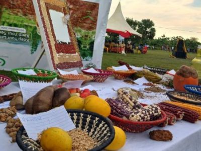 LEMU to Host Public Legal Clinic and Indigenous Seed Exhibition in Apac&nbsp;District
